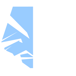 bluefalcon_transparent_logo500x500